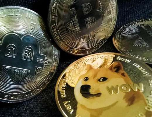 
      Shiba Inu Network 在 Shibarium 之後沒有顯着增長