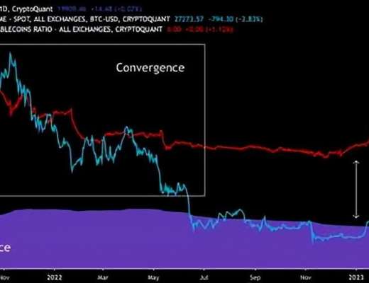 
      如果這些因素得到檢查比特幣[BTC]可能會見證價格的進一步上漲