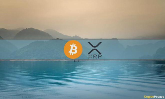 
      XRP 反彈降溫購买更多 BTC市場平靜下來本周的加密貨幣回顧